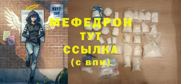 хмурый Тайга